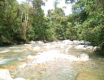 Imagen Río Chonta Yacu